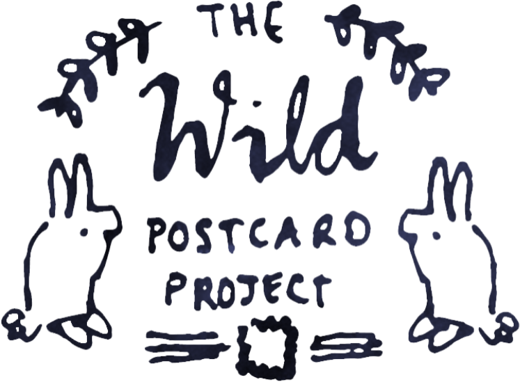Wild Postcard Project CLG logo