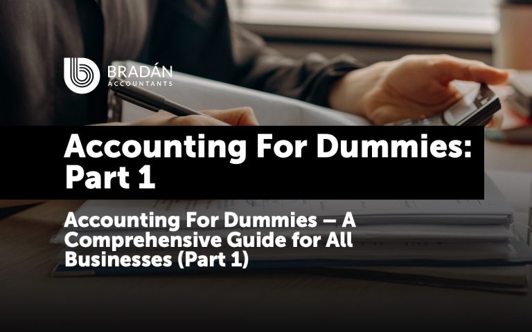 Accounting for Dummies – Comprehensive Guide for All Businesses (Part 1)
